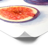 Figs Watercolor Art Poster (Ecke)
