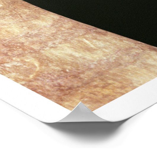 Figurehead of a Viking Longship, gefunden in Osebe Poster (Ecke)