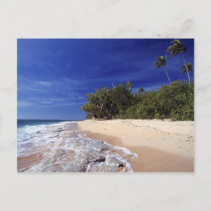 Fiji-Inseln, Tavarua. Dieser Strand auf Tavarua, Postkarte