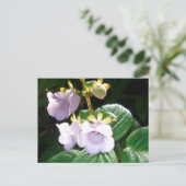 Fiji Lila Orchid Postkarte (Stehend Vorderseite)
