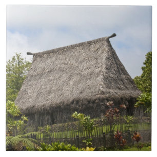 Fiji, Viti Levu Insel. Polynesisches Kulturzentrum Fliese