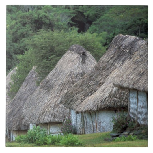 Fiji, Viti, traditionelle Hüttenhäuser. Fliese (Vorderseite)