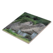 Fiji, Viti, traditionelle Hüttenhäuser. Fliese (Seite)