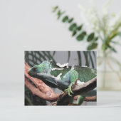 Fijian Crested Iguana Feiertagspostkarte (Stehend Vorderseite)