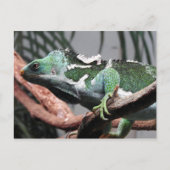 Fijian Crested Iguana Feiertagspostkarte (Vorderseite)