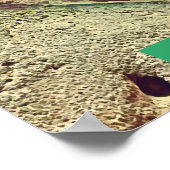 Fijian Iguana-Eidechsenreptil Poster (Ecke)