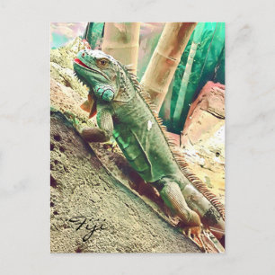 Fijian Iguana-Eidechsenreptil Postkarte