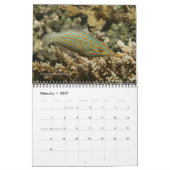 Fijian Reef Fish Calendar 1 Kalender (Feb 2027)