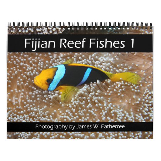 Fijian Reef Fish Calendar 1 Kalender (Titelbild)