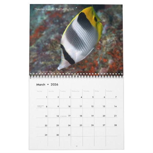 Fijian Reef Fish Calendar 1 Kalender (Mär 2026)