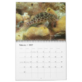 Fijian Reef Fish Calendar 2 Kalender (Feb 2027)