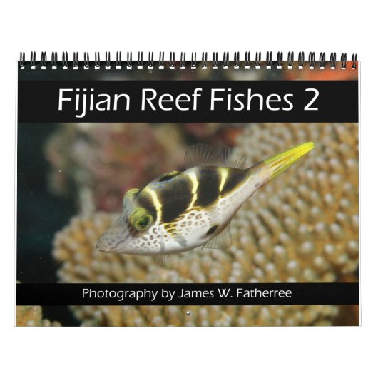 Fijian Reef Fish Calendar 2 Kalender (Titelbild)