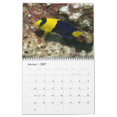 Fijian Reef Fish Calendar 2 Kalender (Jan 2027)