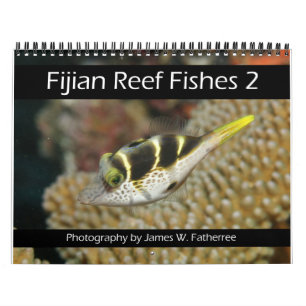 Fijian Reef Fish Calendar 2 Kalender