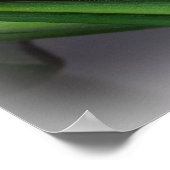 Fikus-Blätter Poster (Ecke)