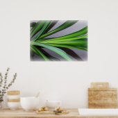 Fikus-Blätter Poster (Küche)