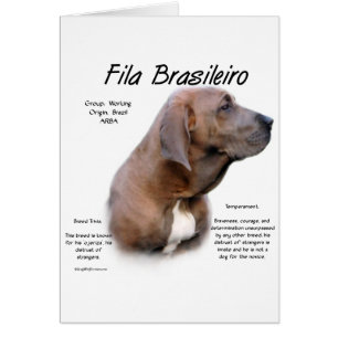 Fila Brasileiro Historisches Design
