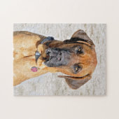 Fila Brasiliero Mastiff Jigsaw Puzzle (Horizontal)