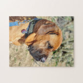 Fila Brasiliero Mastiff Jigsaw Puzzle (Horizontal)