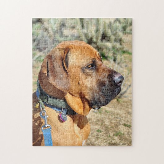 Fila Brasiliero Mastiff Jigsaw Puzzle (Vertikal)