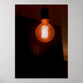 filamentos poster (Vorne)