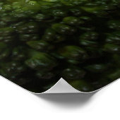 Filet Mignon Poster (Ecke)