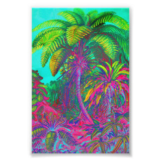 Filicinae Trees and Ferns Fotodruck