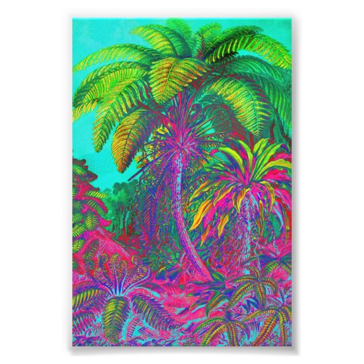 Filicinae Trees and Ferns Fotodruck (Vorne)