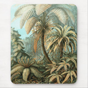 Filicinae von Ernst Haeckel, alte Farnpflanzen Mousepad
