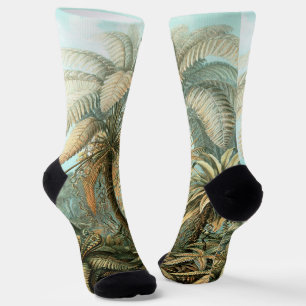 Filicinae von Ernst Haeckel, alte Farnpflanzen Socken