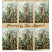 Filicinae von Ernst Haeckel, Vintage französische  Duschvorhang (Vorderseite)