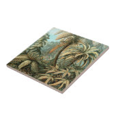 Filicinae von Ernst Haeckel, Vintage französische Fliese (Seite)