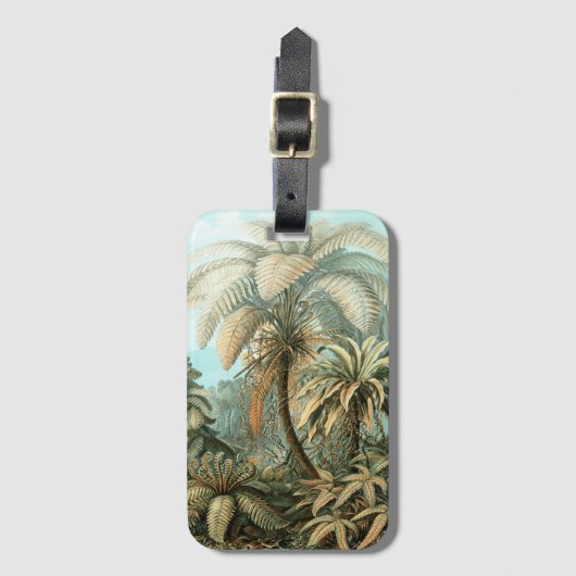 Filicinae von Ernst Haeckel, Vintage französische Gepäckanhänger (Vorderseite Vertikal)