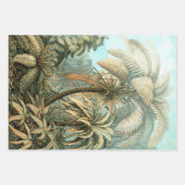 Filicinae von Ernst Haeckel, Vintage französische  Geschenkpapier Set (Vorderseite 2)