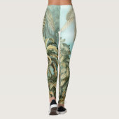 Filicinae von Ernst Haeckel, Vintage französische Leggings (Rückseite)