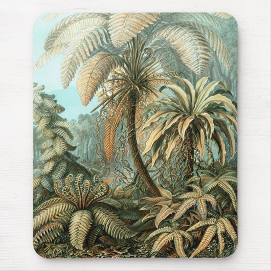 Filicinae von Ernst Haeckel, Vintage französische  Mousepad (Vorne)