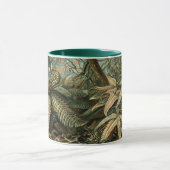 Filicinae von Ernst Haeckel, Vintage französische Tasse (Zentrum)