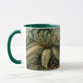 Filicinae von Ernst Haeckel, Vintage französische Tasse (Links)