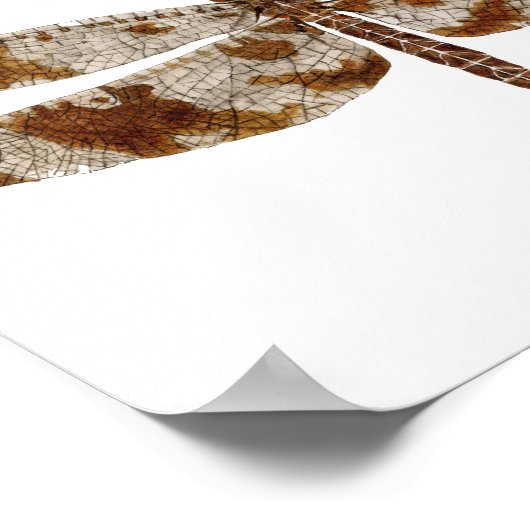 Filigree Skimmer Dragonfly Poster (Ecke)