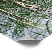 Filipenses 4-8b poster (Ecke)