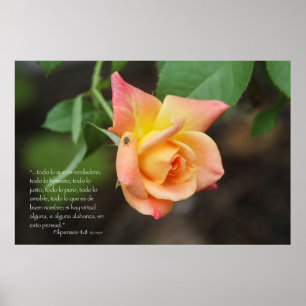 Filipenses 4:8betrug Rosa Poster