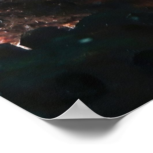 Filipino Filefish Poster (Ecke)