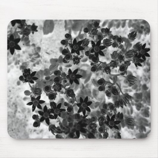 Filligree Mousepad (Vorne)