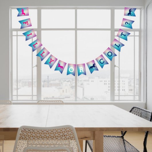 Filly Or Colt Pink and Blue Gender Reveal Bunting Wimpelkette