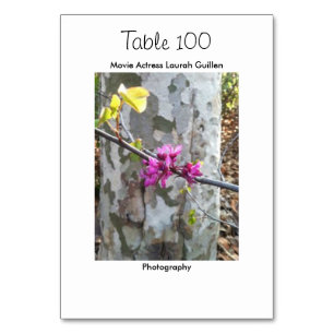 Film-Schauspielerin Laura Guillen alias Ishah Tischnummer