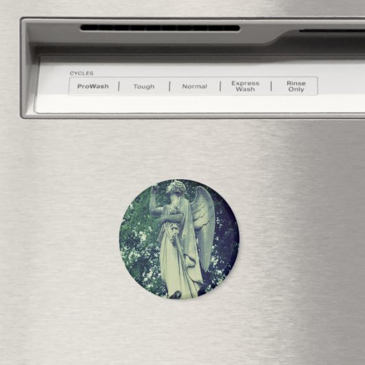 Filmangel Magnet (In Situ (Geschirrspüler))