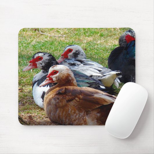 Filme Mousepad (Mit Mouse)