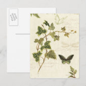 Filme und Schmetterlinge Postkarte (Vorne/Hinten)