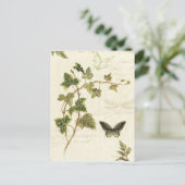 Filme und Schmetterlinge Postkarte (Stehend Vorderseite)