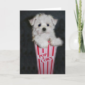 Filmnachtsgrüße Karte